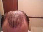 hair wet no 6 buzz cut 3 week..jpg