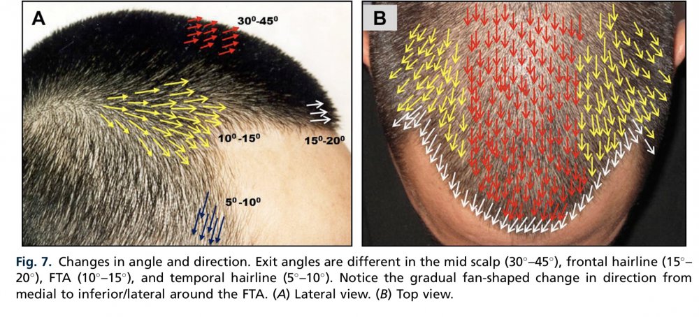 125E7334-D9E9-40B3-B9B3-68A3FEAB93BA.jpeg