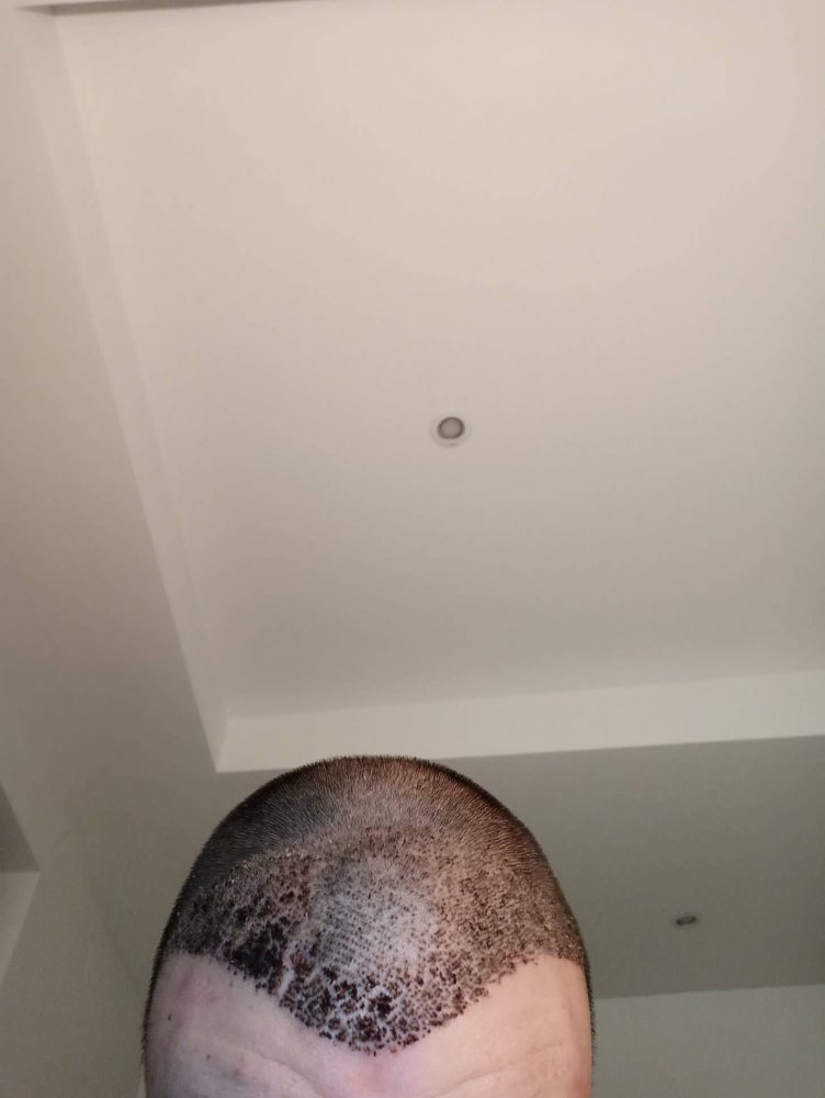154692930_182875686608631_4736325918617812664_n (1).jpg