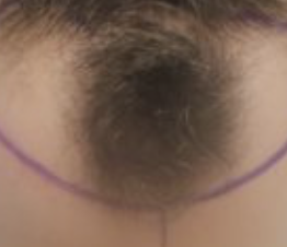1613045233140.png