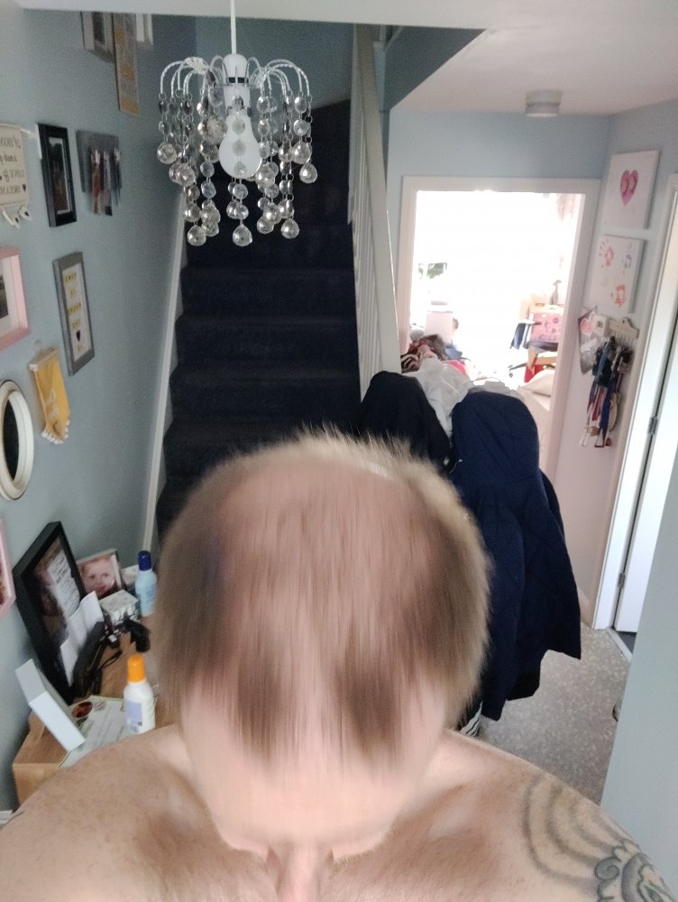 16260256492018641321420086206575.jpg