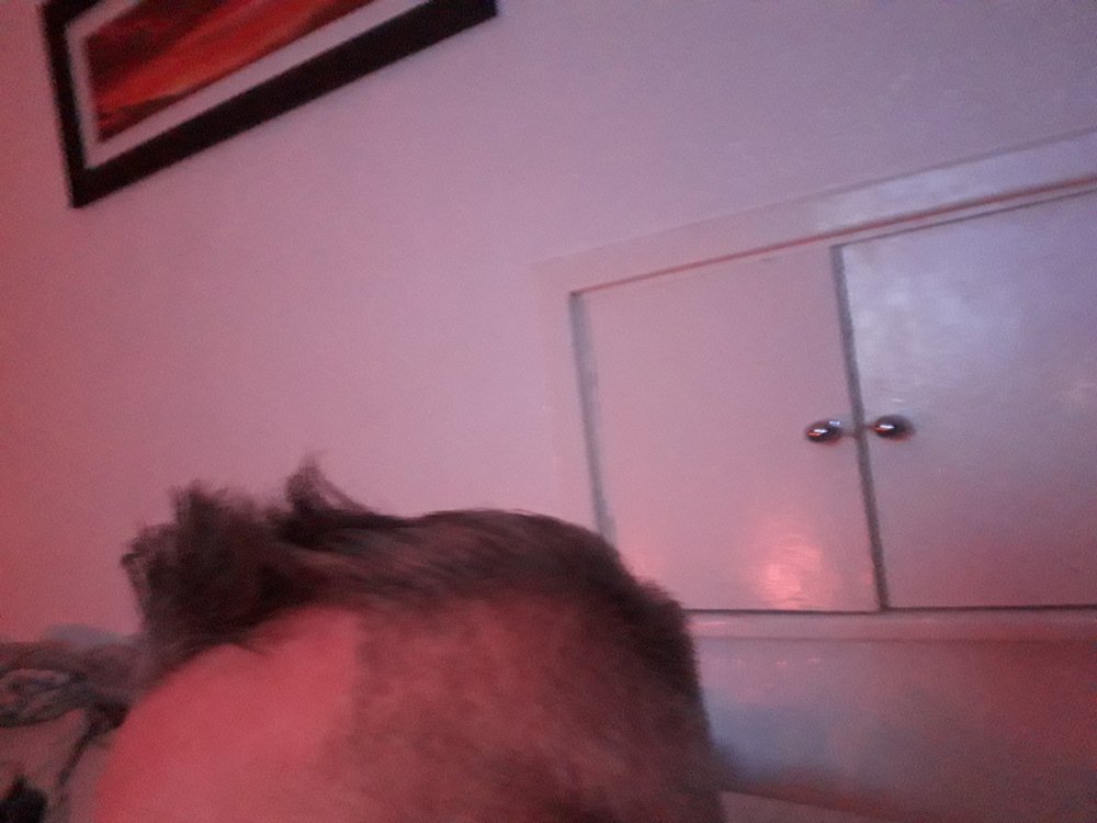 20220207_223532.jpg
