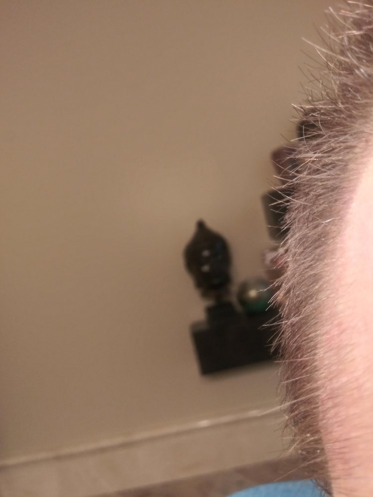 20220904_125511_HDR.jpg