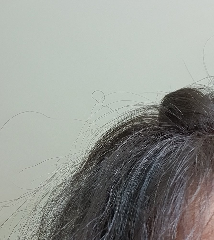 20230313_140948.jpg