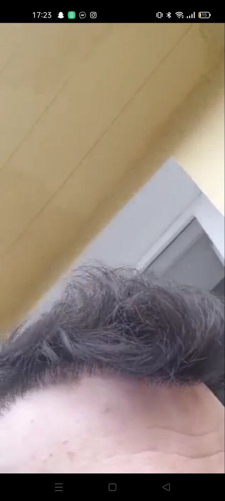 296471027_776630303339249_3834805902350424848_n.jpg