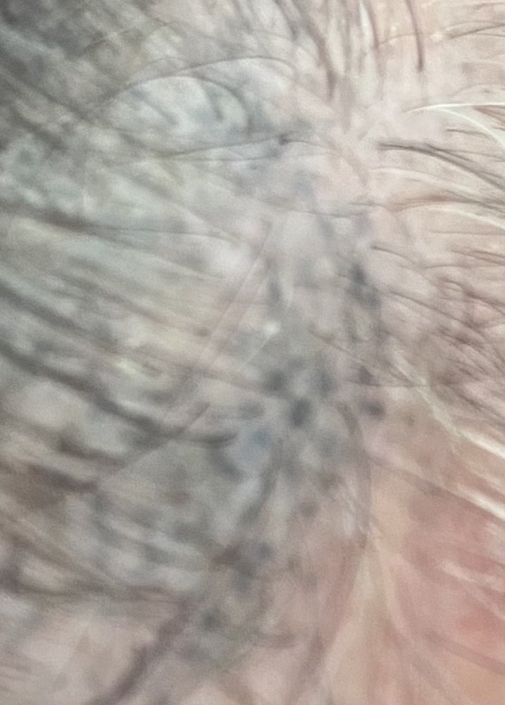 3A6240AA-F059-4F81-B3D8-D1A034434E78.jpeg