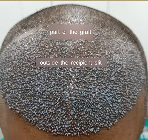 9 copy.JPG
