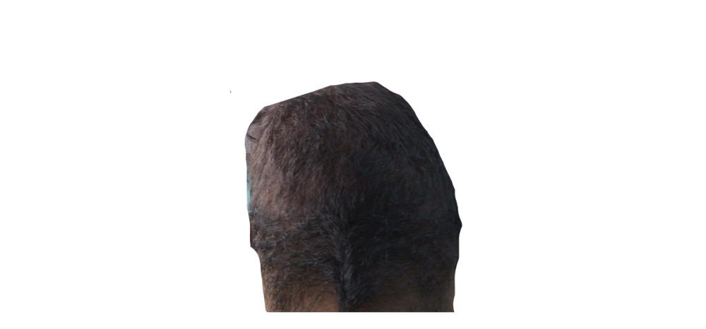 Backsidef.png