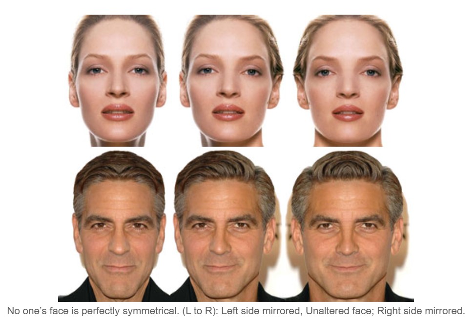 facial symmetry.jpg