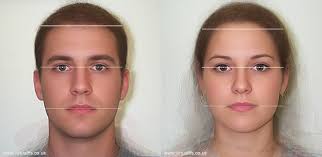 female-male-hairlines.jpeg