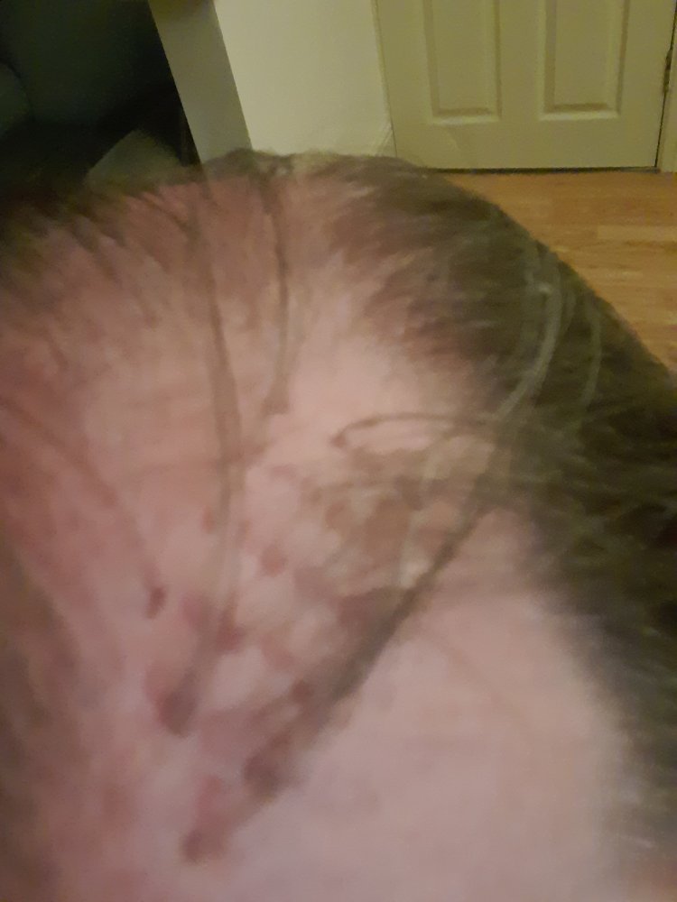 Hair 2.jpg