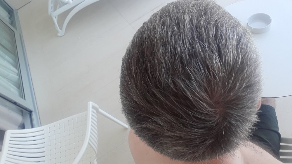 hair back.jpg