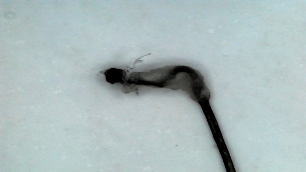 IMG-20201119-WA0007.jpg