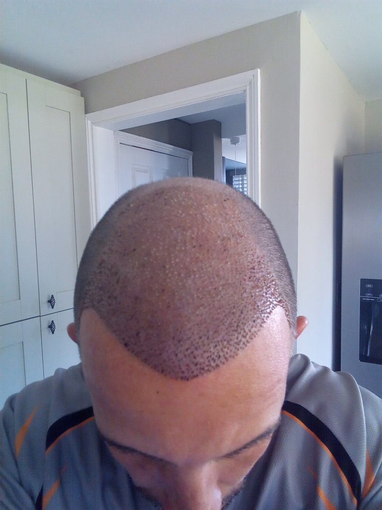 IMG-20220729-WA0008.jpeg