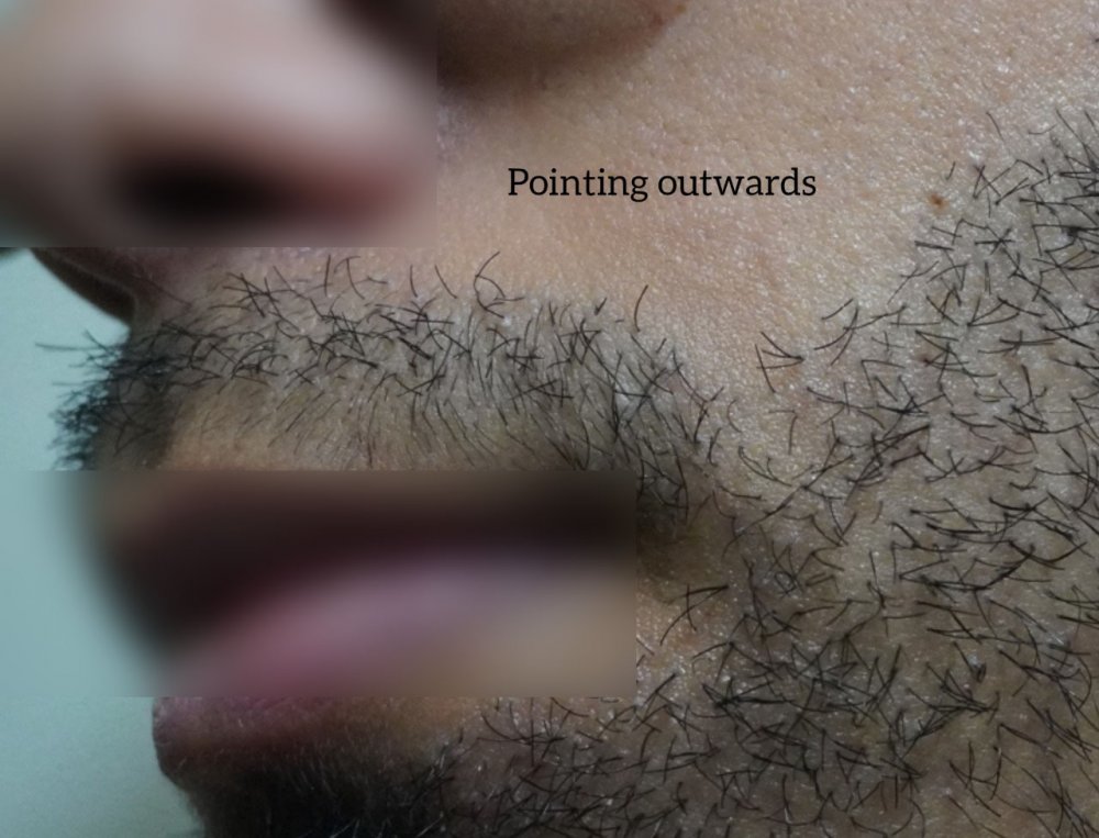 img 23.jpg