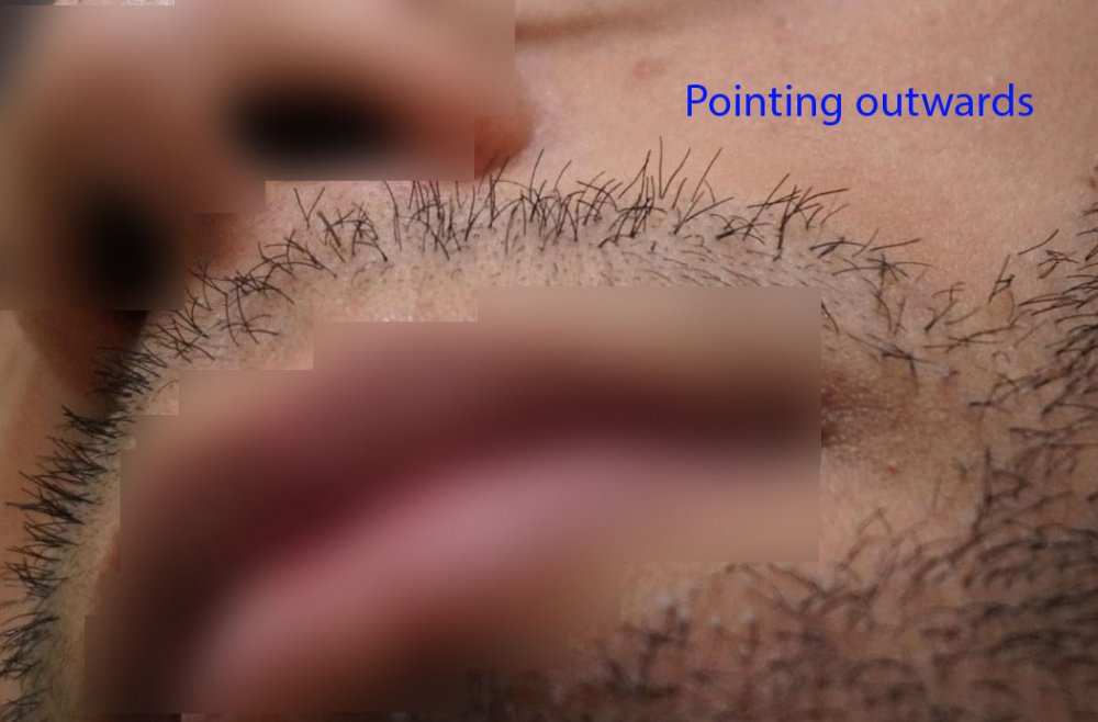img 24.jpg