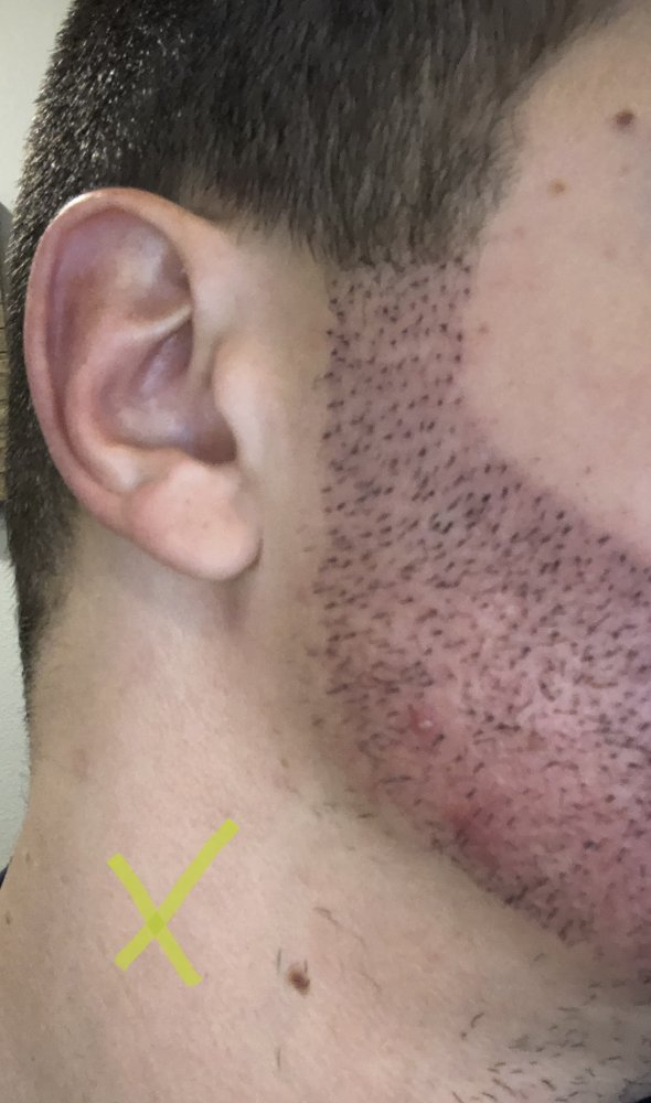 IMG-5500.jpg IMG-5500.jpg