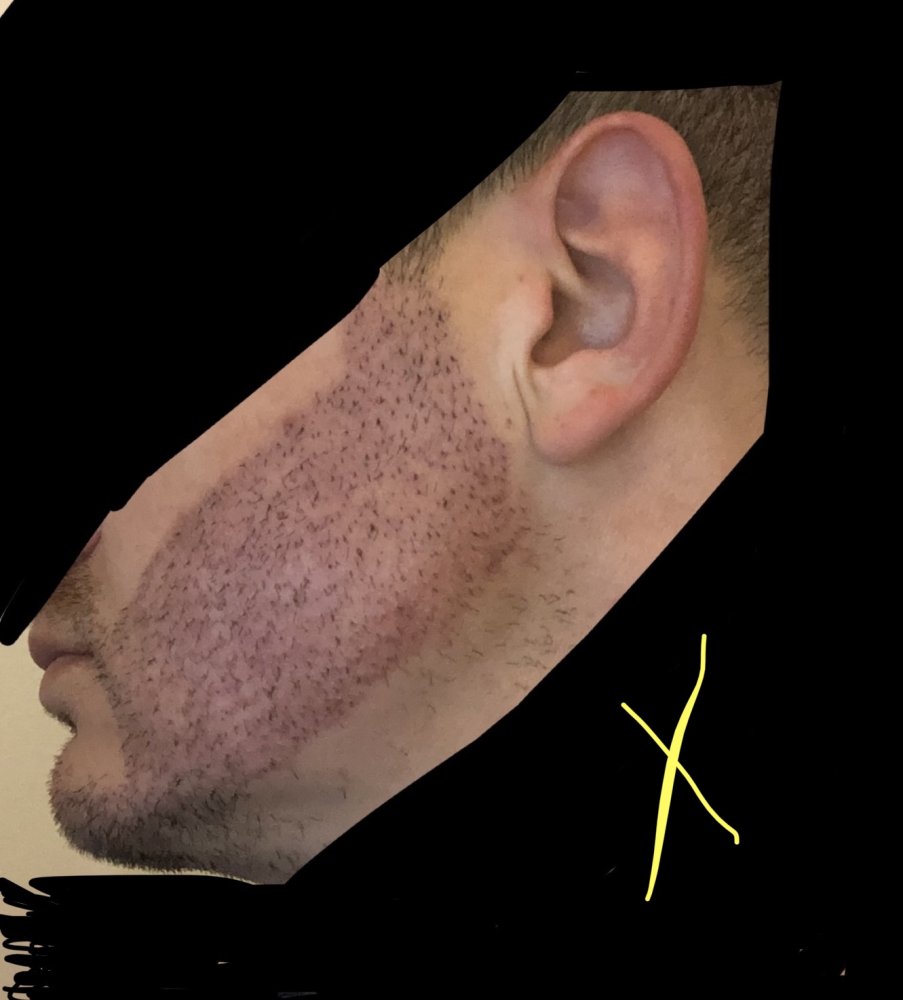 IMG-5503.jpg IMG-5503.jpg