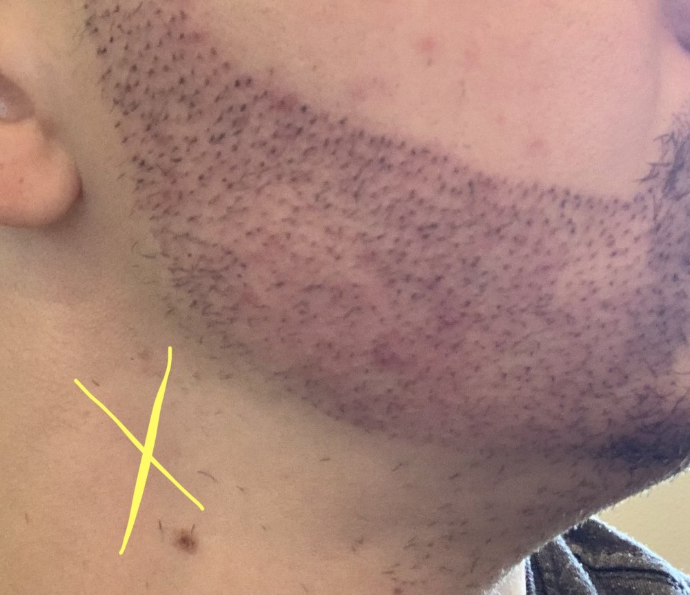 IMG-5505.jpg IMG-5505.jpg