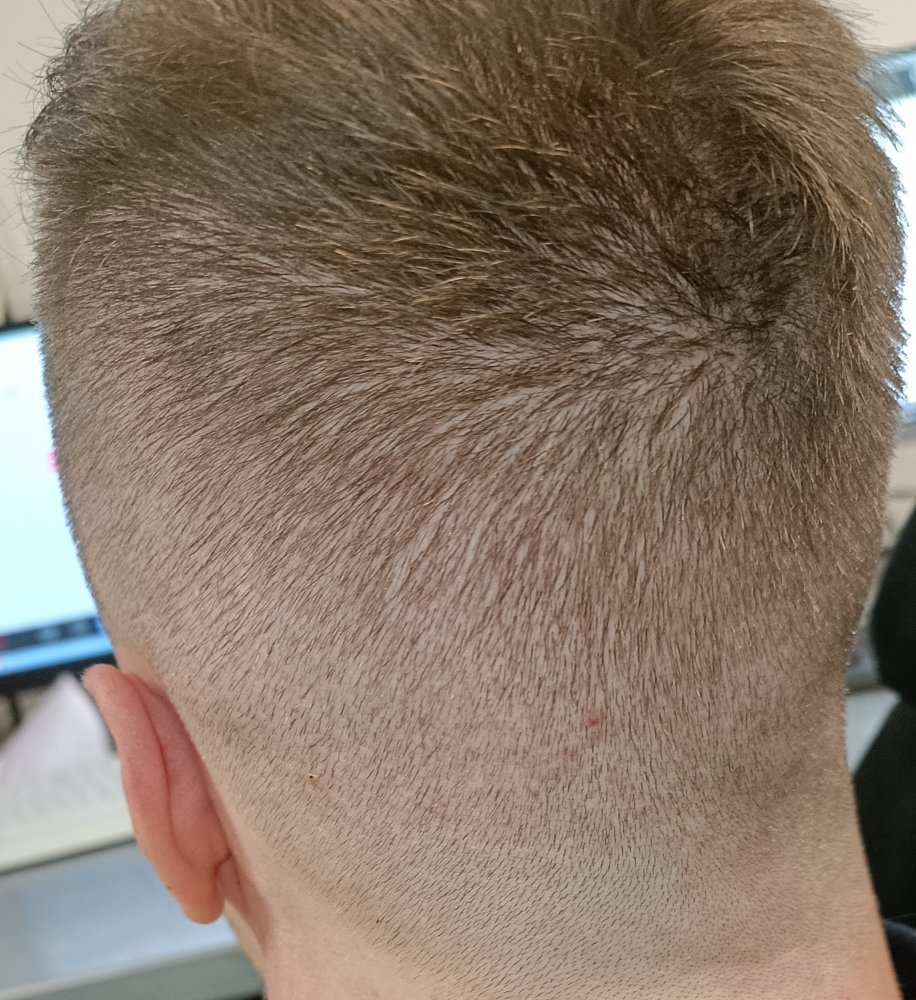 IMG_20220730_010504.jpg