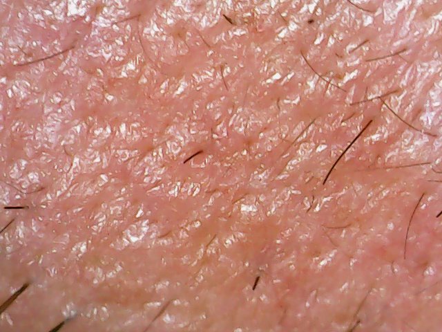 microcam_040123_2.jpg