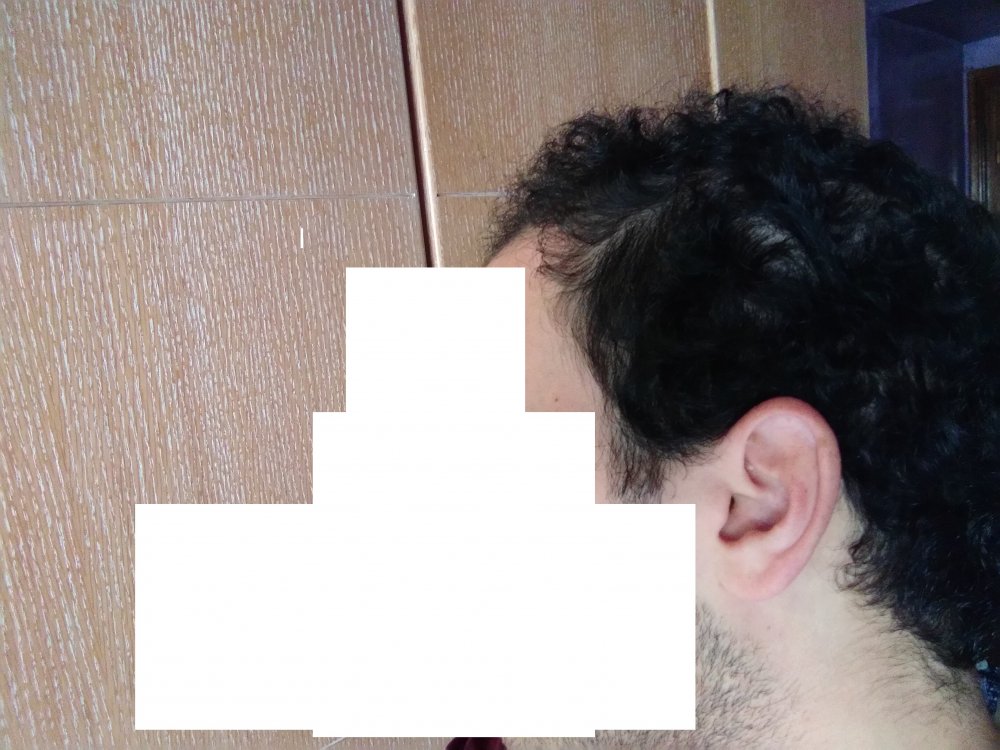 profil.jpg