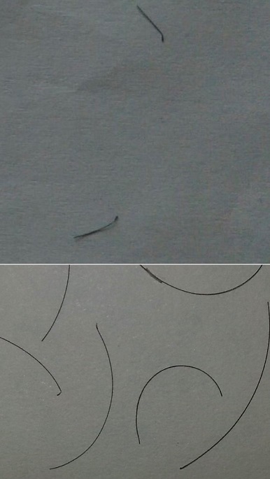 Shed hair grafts.jpg