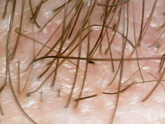 T20220722_001_0023.jpg