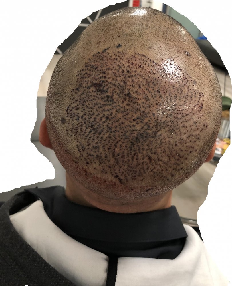 Untitled.jpg