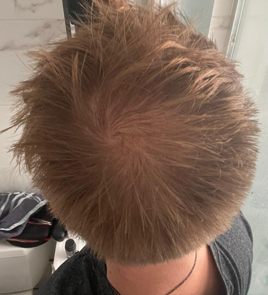 WhatsApp Image 2024-08-21 at 10.43.47.jpeg