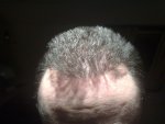 DAY 294 PIC 1.jpg