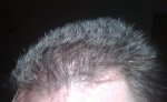 DAY 294 PIC 2.jpg