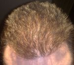 DAY 294 PIC 3.jpg