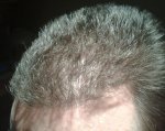DAY 294 PIC 4.jpg