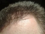 DAY 294 PIC 5.jpg