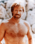 chucknorris.gif