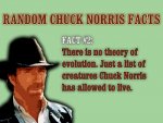 8de6c_chuck20norris20evolution.jpg