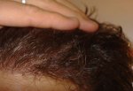 5monthswetcombedback1.jpg