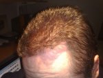 DAY 282 PIC 3.jpg
