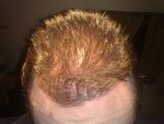 DAY 282 PIC 4.jpg