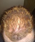 DAY 282 PIC 5.jpg