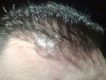 DAY 282 PIC 13.jpg