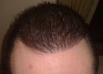 DAY 282 PIC 15.jpg