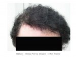 FrontDry02.jpg