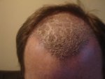 DSC00420.JPG