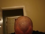DSC00459.JPG