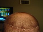DSC00478.JPG