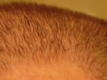 DSC00576.JPG