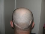 hair pic 004.jpg