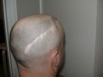 hair pic 005.jpg